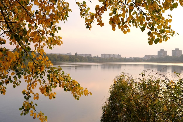 Herfst herfst in park met gele bladeren bomen en meer