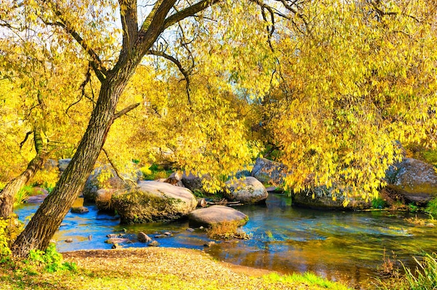 Herfst herfst in park