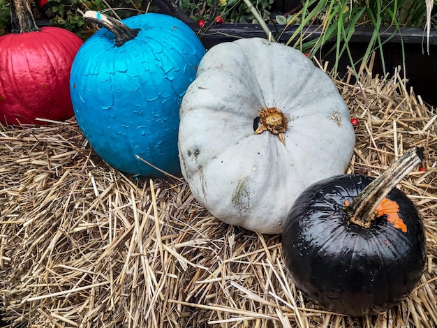 Herfst herfst seizoen decor oranje traditionele halloween pompoen groente