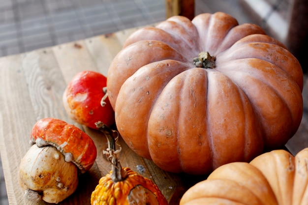 Herfst herfstdecoratie met pompoenen