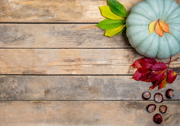 Herfst hout met geel-rood en groen blad, pompoen en kastanje.