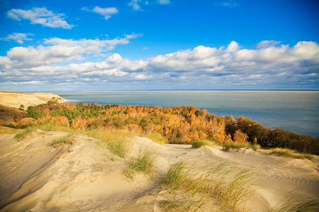 Herfst in de duinen van Koerse Schoorwal in Nida, Neringa, Litouwen