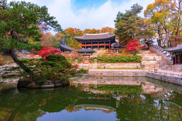Herfst in de tuin van Changdeokgung Palace Zuid-Korea