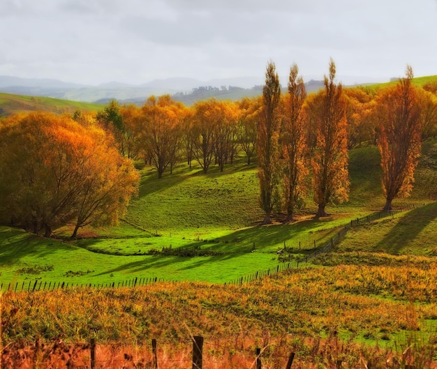 Herfst in Denemarken Een landelijke scène tijdens de herfst in Denemarken