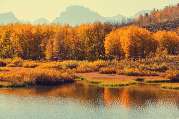 Herfst in Grand Teton