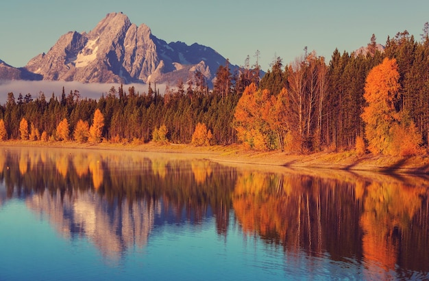 Herfst in Grand Teton