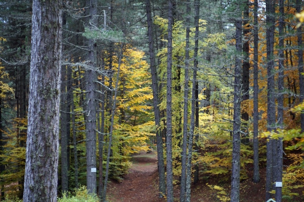 Herfst in Italië Calabrië