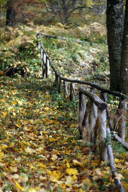 Herfst in Italië Calabrië