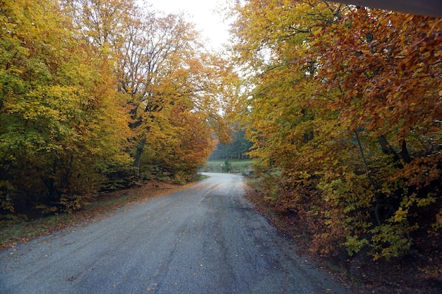 Herfst in Italië Calabrië