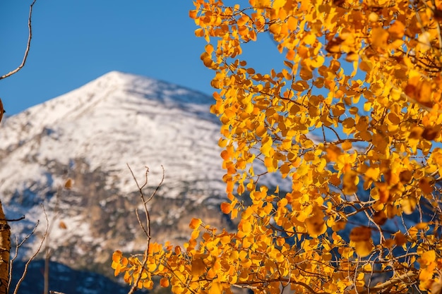 Herfst in Rocky Mountains Colorado