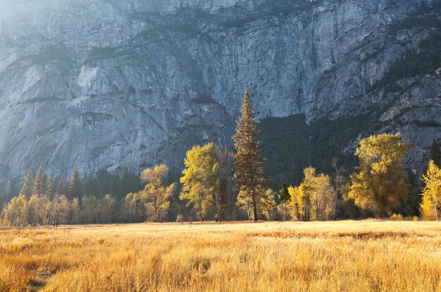 Herfst in Yosemite