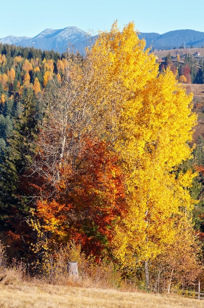 Herfst karpaten dorp oekraïne