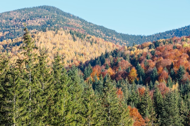 Herfst Karpaten Oekraïne