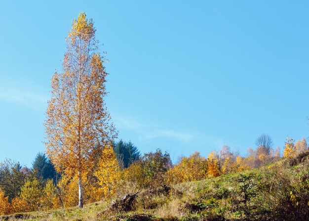 Herfst Karpaten Oekraïne