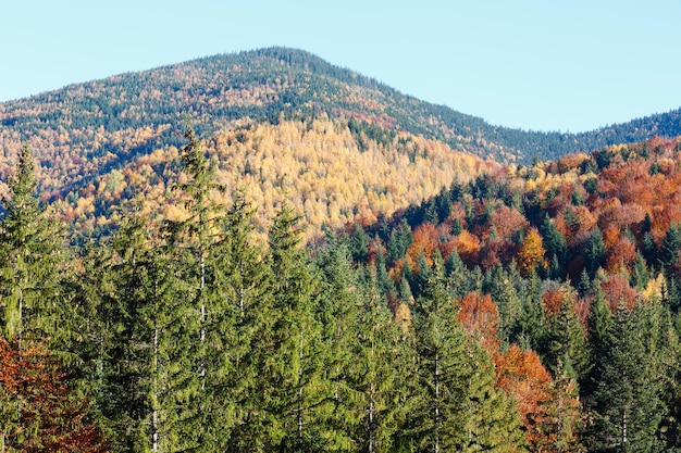 Herfst Karpaten Oekraïne