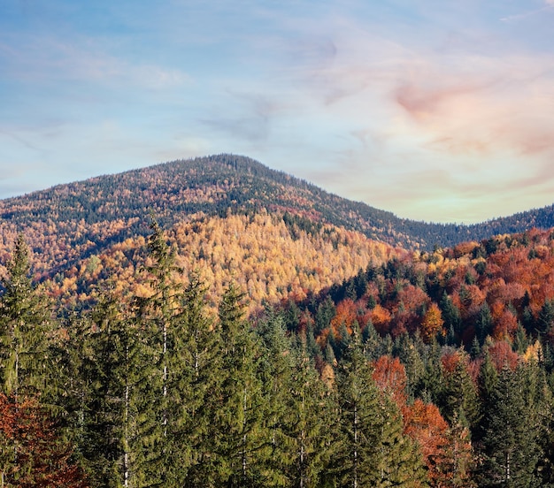 Herfst Karpaten Oekraïne