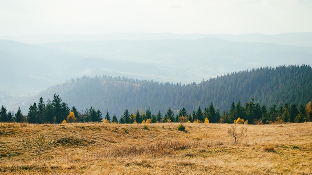 Herfst Karpaten weg