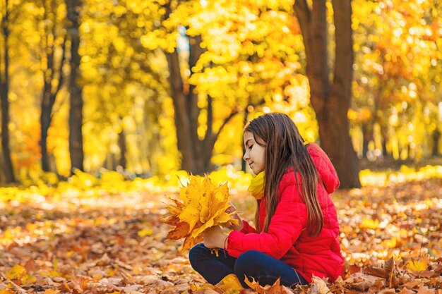 Herfst kind in het park met gele bladeren Selectieve aandacht Kid