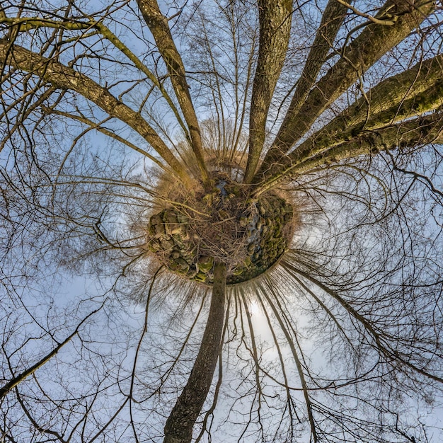 Herfst kleine planeet transformatie van bolvormig panorama 360 graden bolvormige abstracte luchtfoto in bos met onhandige takken kromming van de ruimte