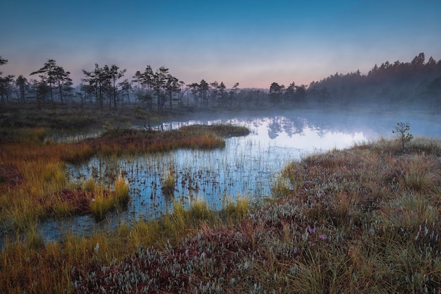 Herfst kleurrijk landschap met moeras bij zonsopgang in de mist