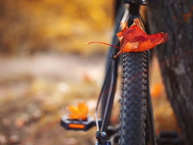 Herfst kleurrijke bladeren op een fiets