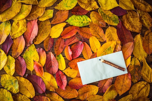 Foto herfst laat papierblad potlood