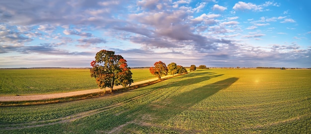 Herfst landelijk panorama Herfstkleuren prachtige bomen onverharde weg landbouw velden zonnige ochtend