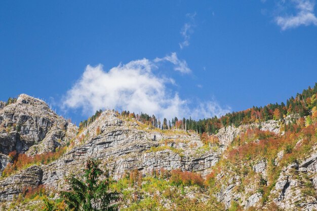 Herfst landschap. Alpine bergketen in Slovenië