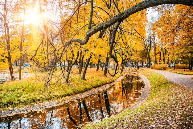 Herfst landschap. Herfst scène. Mooie gele bomen aan de oever van de vijver in het park