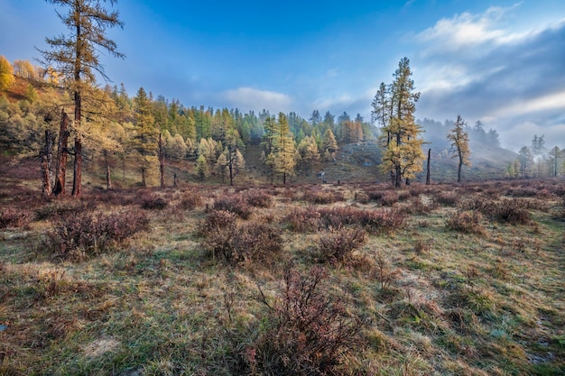 Herfst landschap in Altai Altai gebergte Zuid-Siberië, Rusland