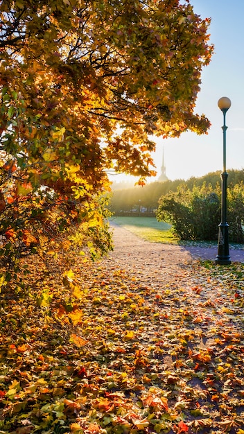 Herfst landschap in een Russisch park