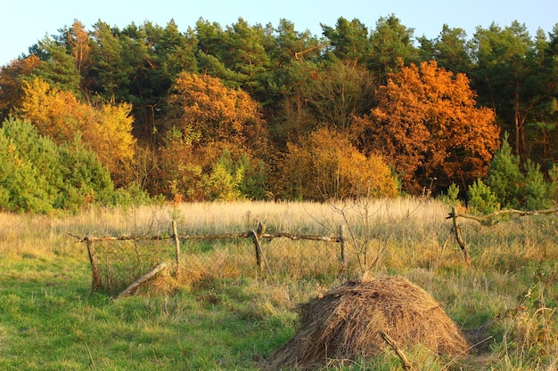 Herfst landschap met een hooiberg