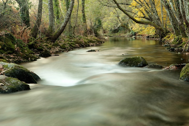 Herfst landschap met een rivier omgeven door bomen