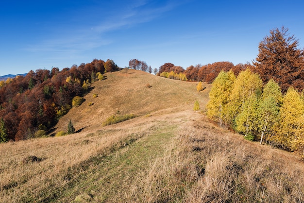 Herfst landschap met een weg in de bergen