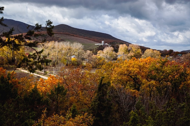 Foto herfst landschap met gele bomen in de hooglanden met een lift