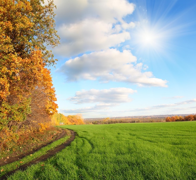 Herfst landschap met groen veld