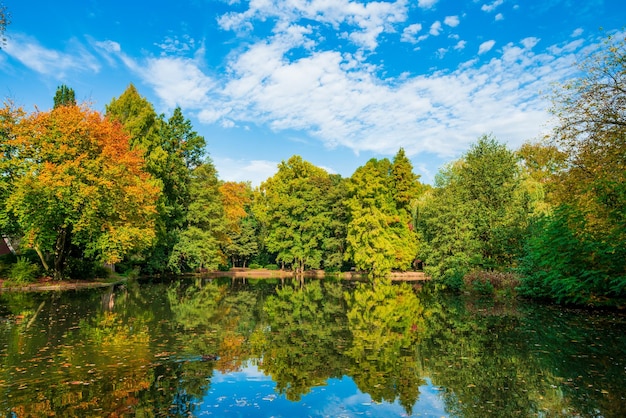 Herfst landschap mooie gekleurde bomen