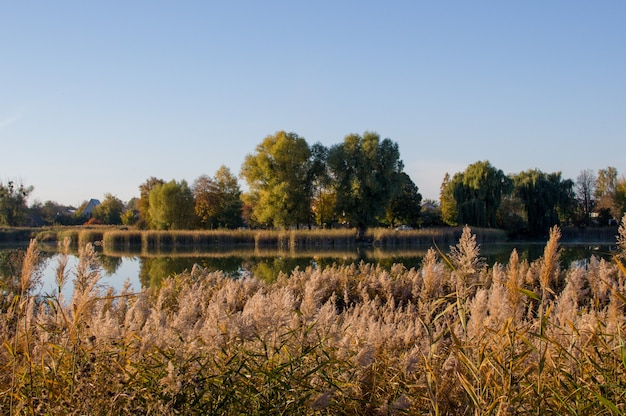 Herfst landschap op het meer