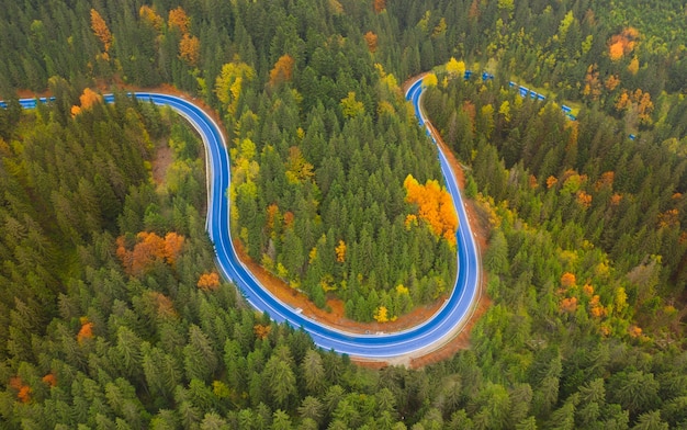 Herfst landschap verharde weg in het bergbos