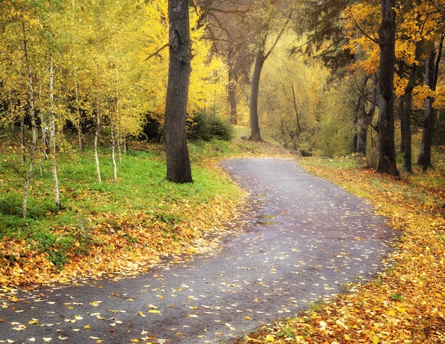 Herfst landschap.