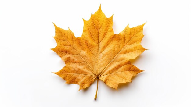 Herfst maple leaf geïsoleerd op witte achtergrond Generatieve Ai