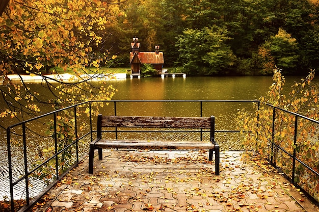 Herfst meer in het bos