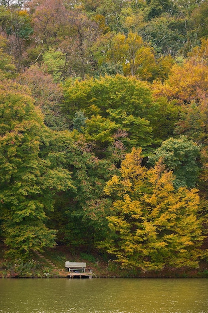 herfst meer