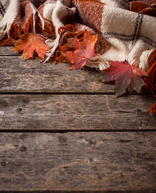 Herfst met plaid en bladeren