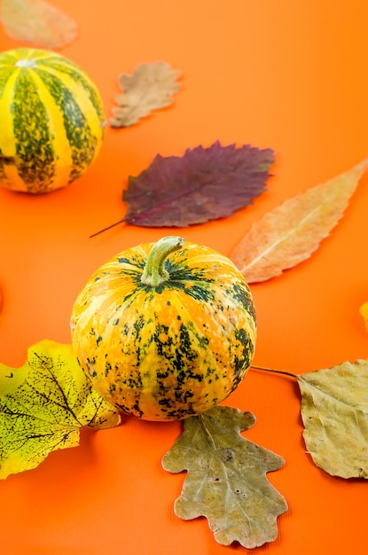 Herfst met pompoenen en bladeren