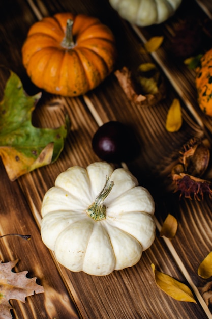 Herfst met pompoenenassortiment, kastanjes en herfstbladeren