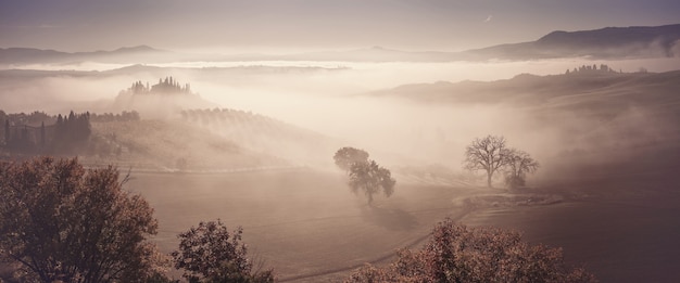 Herfst mist in vallei met olijfboomgaarden en wijngaarden, vintage landschap panorama