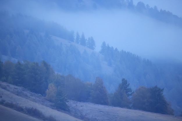 herfst mist landschap bos bergen, bomen uitzicht mist