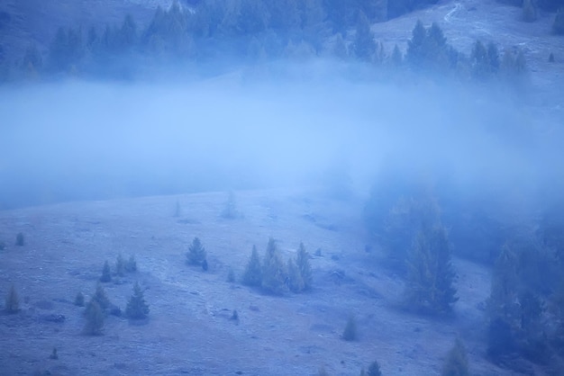 herfst mist landschap bos bergen, bomen uitzicht mist