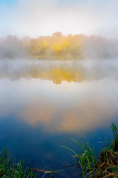 Herfst mist over de rivier en het bos met gele bladeren.